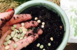 Healing Cooker • Cookerlogy