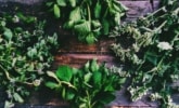 Healing Cooker • Cookerlogy