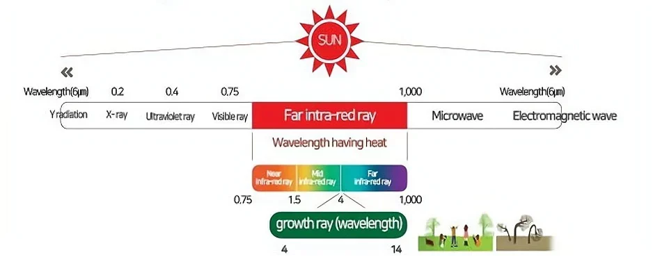 Growth Rays | Cookerlogy